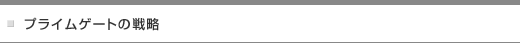 プライムゲートの戦略
