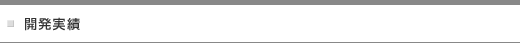 開発実績