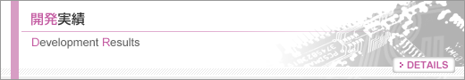 開発実績