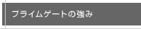 �v���C���Q�[�g�̋���